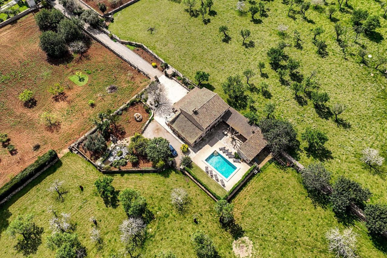 Villa Prital By Sealand Villas بويينسا المظهر الخارجي الصورة