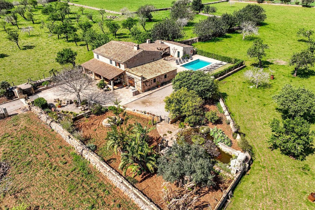 Villa Prital By Sealand Villas بويينسا المظهر الخارجي الصورة
